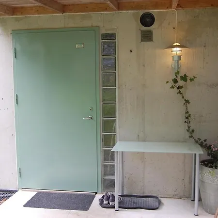 Tall Basement In Forest *